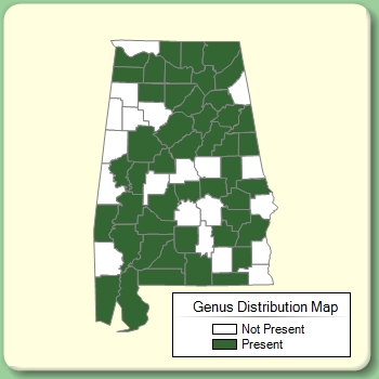 Genus Distribution Map