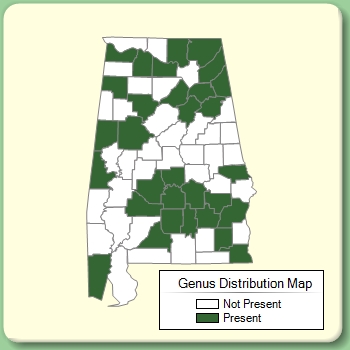 Genus Distribution Map