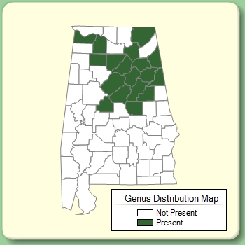 Genus Distribution Map