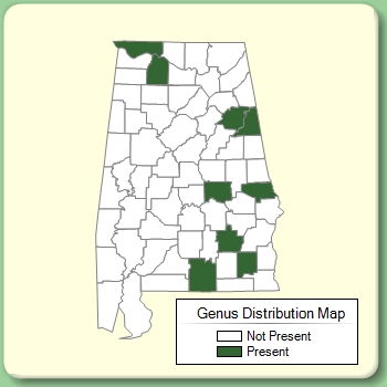 Genus Distribution Map