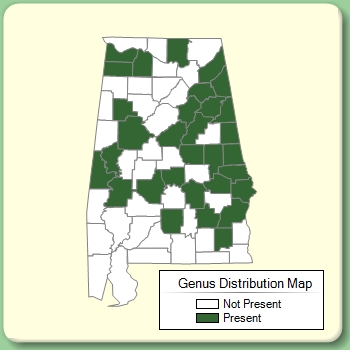 Genus Distribution Map