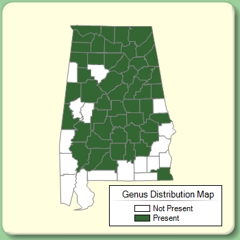 Genus Distribution Map