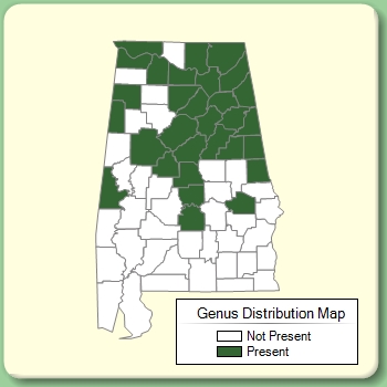 Genus Distribution Map