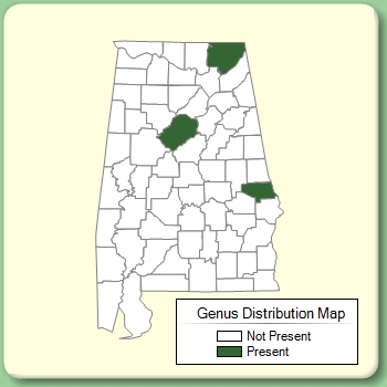 Genus Distribution Map