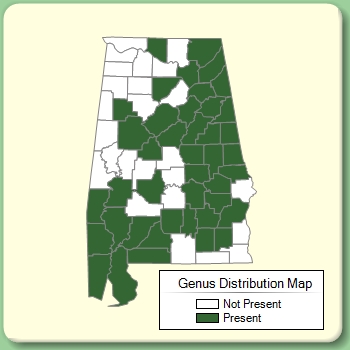 Genus Distribution Map