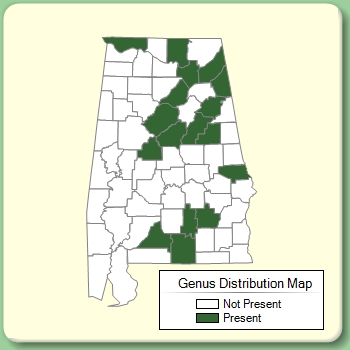 Genus Distribution Map