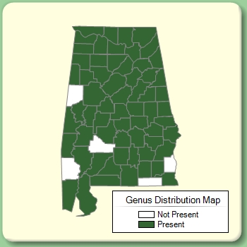 Genus Distribution Map