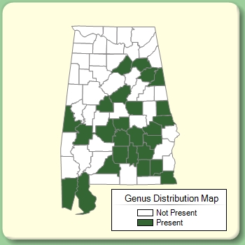 Genus Distribution Map