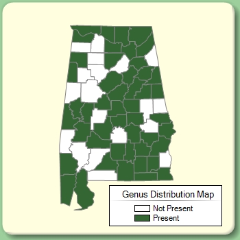 Genus Distribution Map