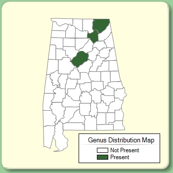 Genus Distribution Map