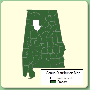 Genus Distribution Map