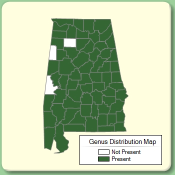 Genus Distribution Map