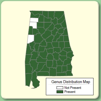 Genus Distribution Map