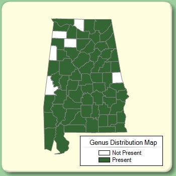 Genus Distribution Map