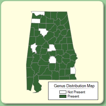 Genus Distribution Map