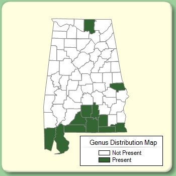 Genus Distribution Map