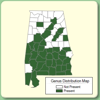 Genus Distribution Map