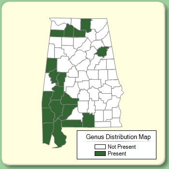 Genus Distribution Map