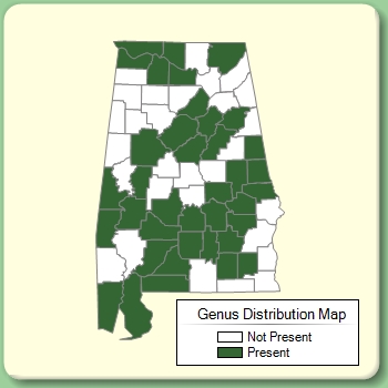 Genus Distribution Map