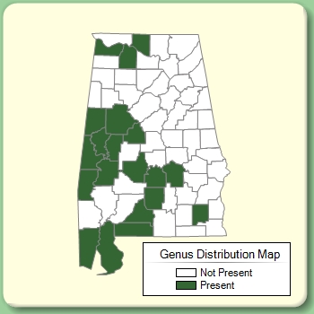 Genus Distribution Map