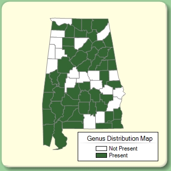 Genus Distribution Map