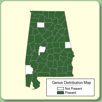 Genus Distribution Map