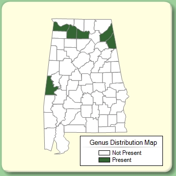 Genus Distribution Map