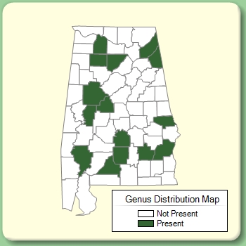 Genus Distribution Map