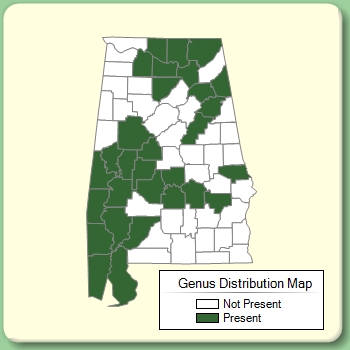 Genus Distribution Map