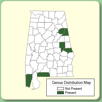 Genus Distribution Map