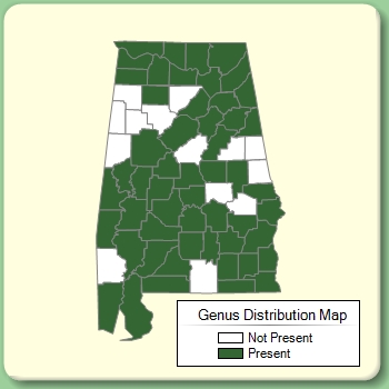 Genus Distribution Map