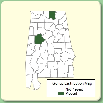 Genus Distribution Map