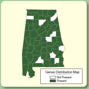 Genus Distribution Map