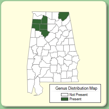 Genus Distribution Map