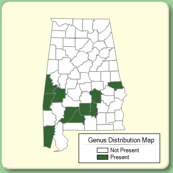 Genus Distribution Map