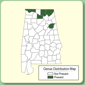 Genus Distribution Map