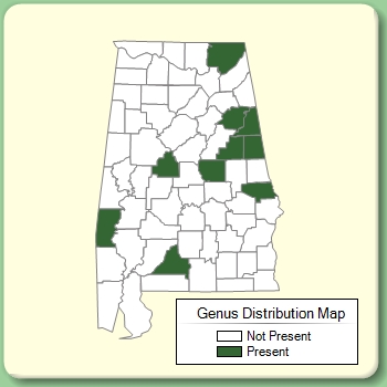 Genus Distribution Map