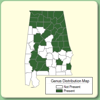 Genus Distribution Map