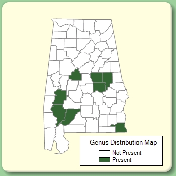 Genus Distribution Map