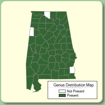 Genus Distribution Map