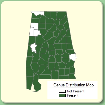 Genus Distribution Map