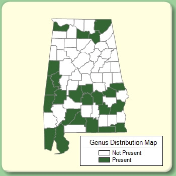 Genus Distribution Map