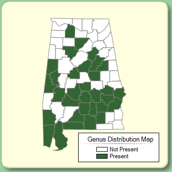 Genus Distribution Map