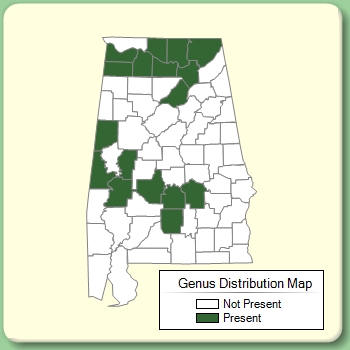 Genus Distribution Map