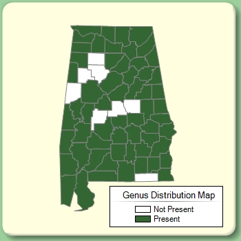 Genus Distribution Map