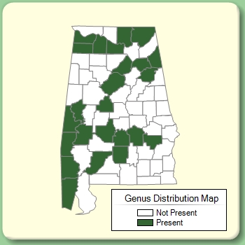 Genus Distribution Map