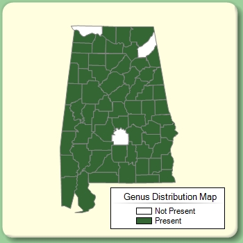 Genus Distribution Map