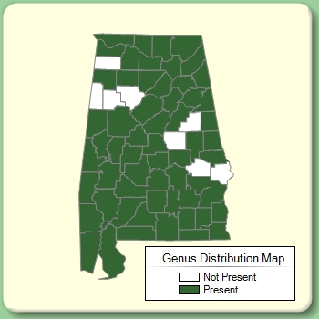 Genus Distribution Map