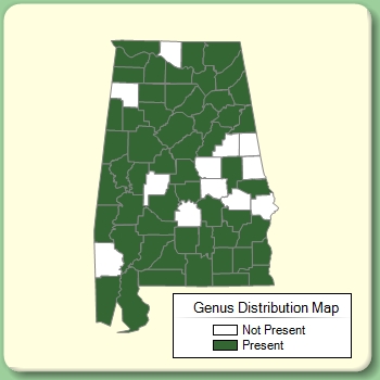 Genus Distribution Map