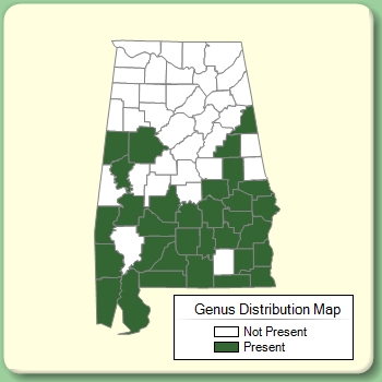 Genus Distribution Map